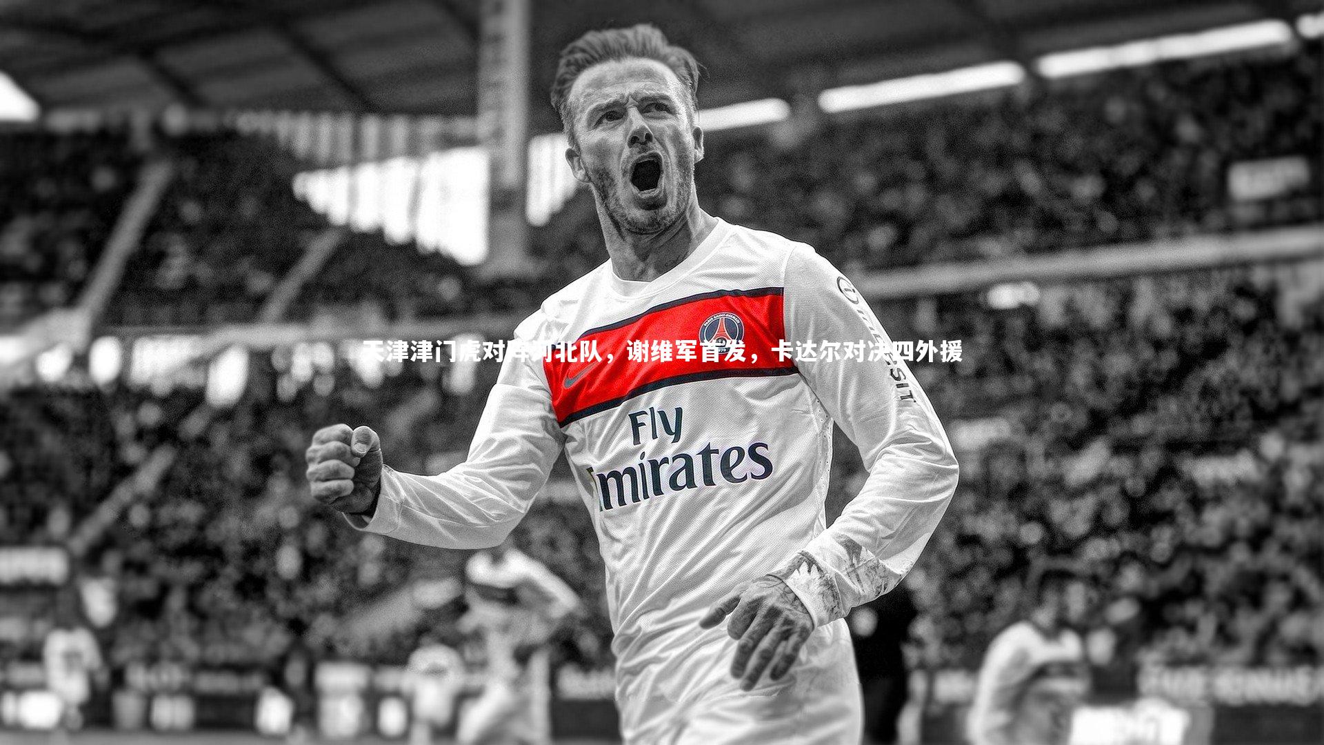 ng体育平台|天津津门虎对阵河北队，谢维军首发，卡达尔对决四外援-第2张图片-NG体育(南宫体育)官方网站 - NG SPORTS